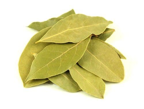 Bay leaf