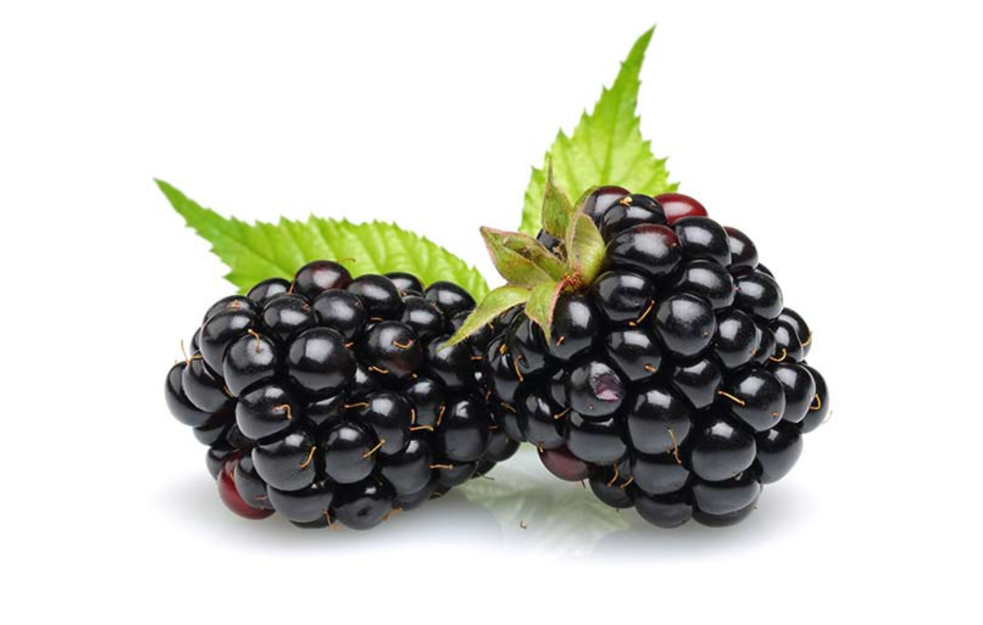 Blackberries