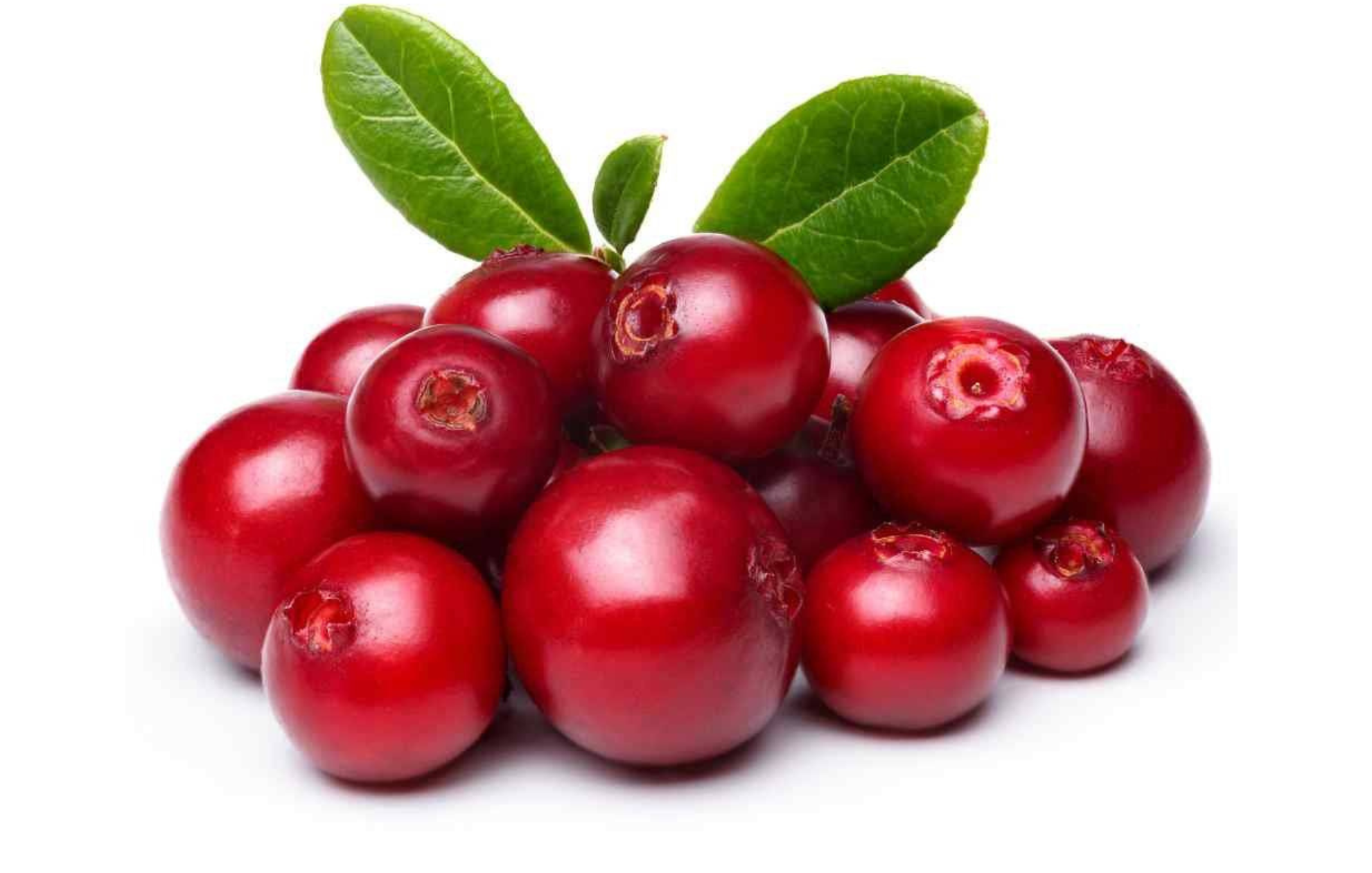 Cranberries