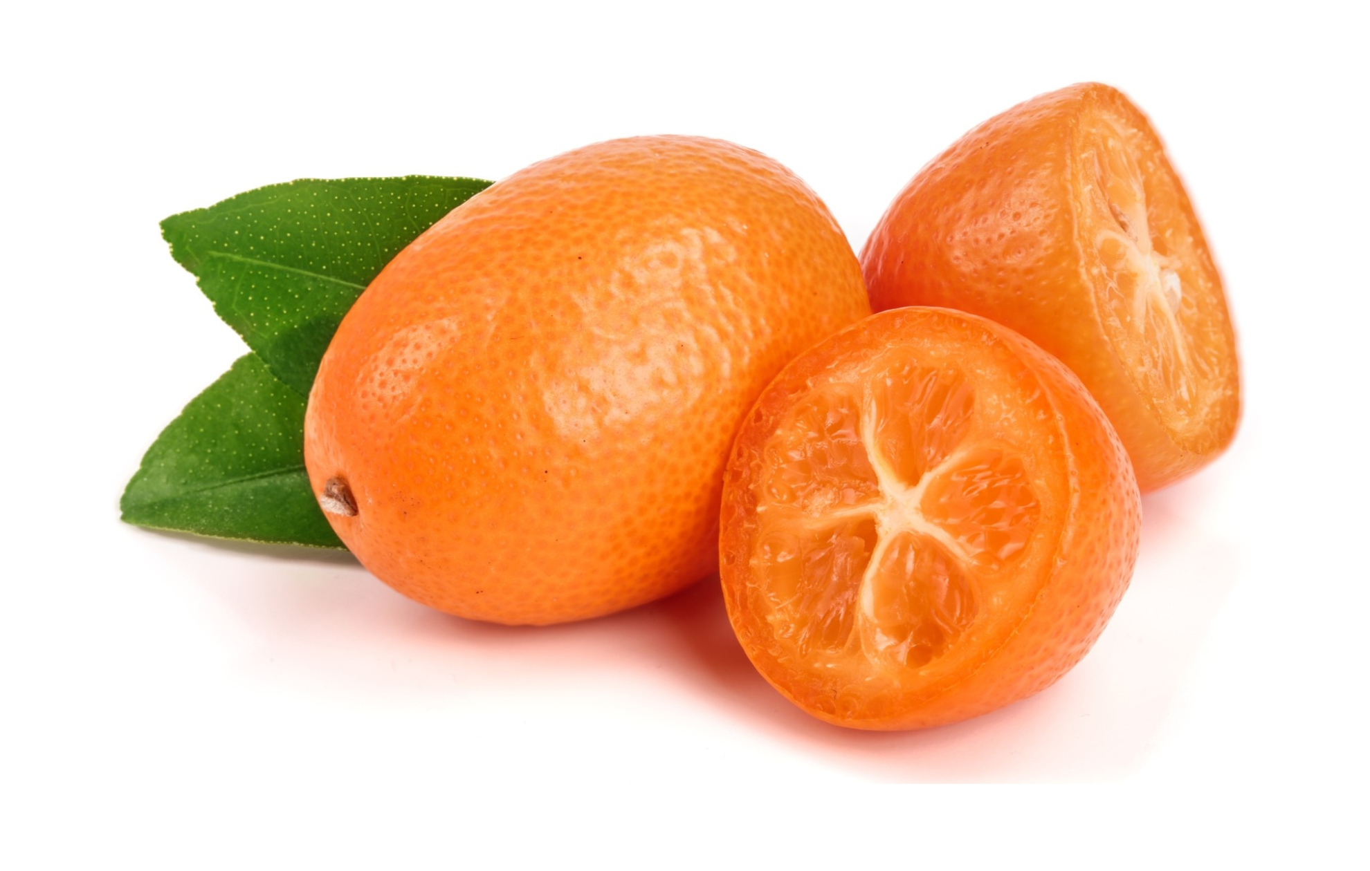 Kumquat