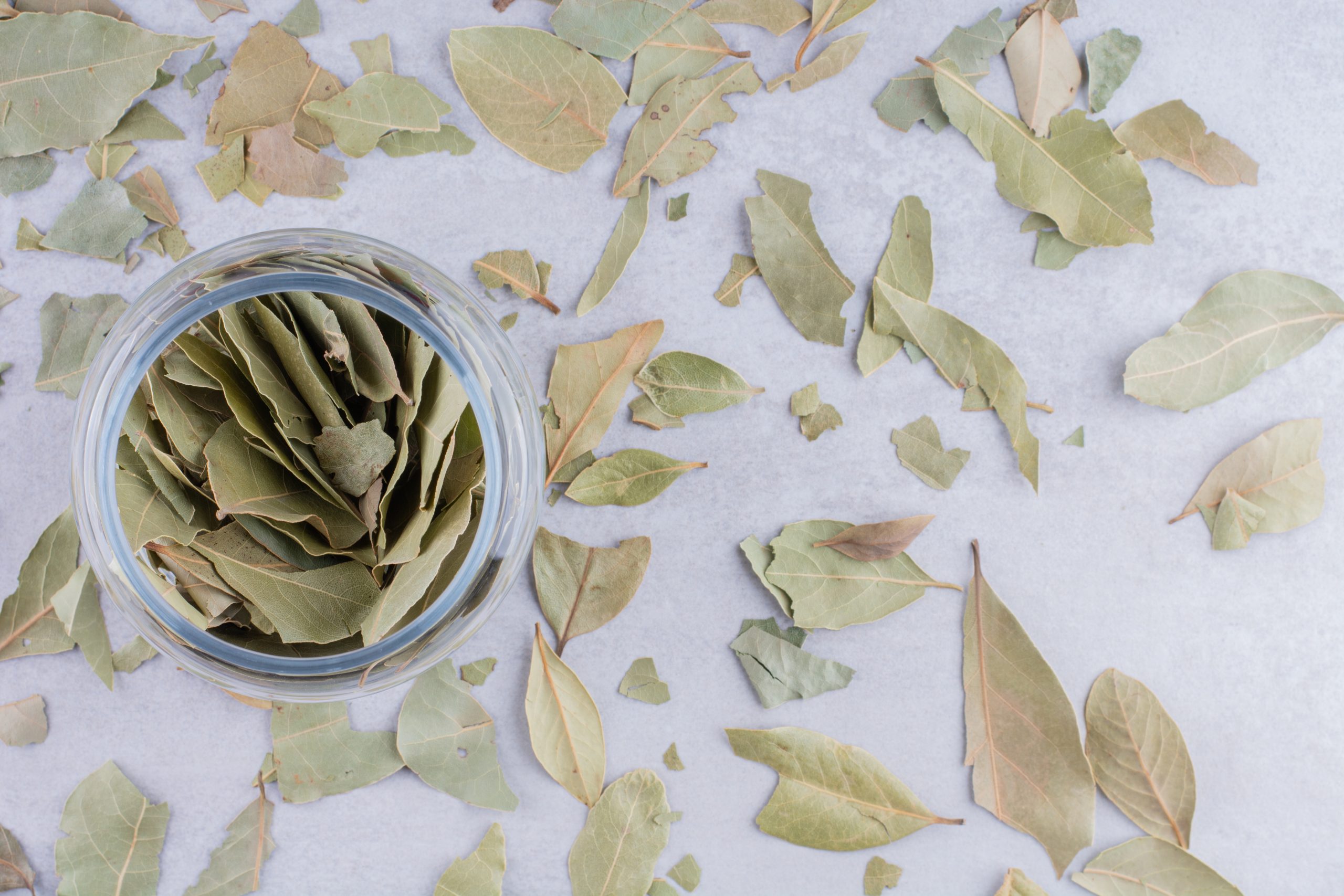 bay leaves health benefits