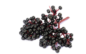 Elderberries’ Health Benefits: Increasing Immunity, Lowering Inflammation, and More