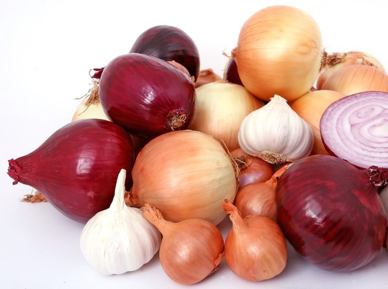 onions garlic vegetables 1238332